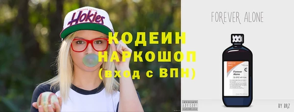 первитин Заводоуковск