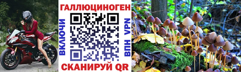 Псилоцибиновые грибы мухоморы  Котово 