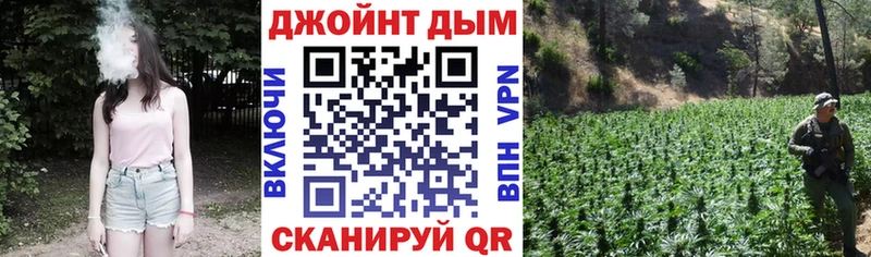сколько стоит Котово Шишки марихуана ГИДРОПОН